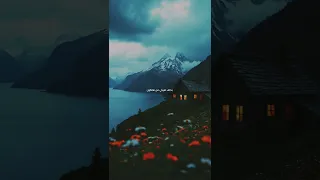 دهب وفيق حبيب  دهب وفيق حبيب