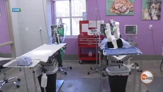 Daytime Live at new Spay Neuter Clinic