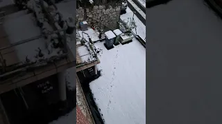 صباح أبيض من بلجيكا 