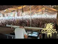 Download Lagu DJ Botond @ O.Z.O.R.A. Festival 2023 Pumpui Stage