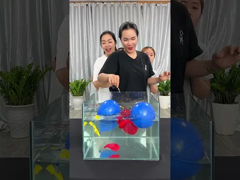 Don't Hit the Colored Button Challenge! Who Will Lose? 😱🔴🟢🔵 #shorts #funny #office #games
