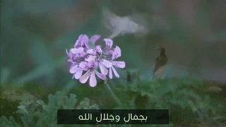 يا أخي الداعي إلى الله المنشد عامر عطايا 