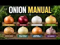 The illusion of the onion Why You re Buying The Exact Same Vegetable