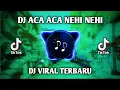 Download Lagu DJ ACA ACA NEHI NEHI REMIX | DJ VIRAL TIKTOK TERBARU 2021