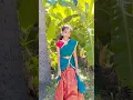 Download Lagu Thanthanae thamara poo songs|தந்தானே தாமர பூ| Meena|vijaykanth|periyanna