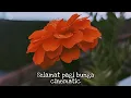 Download Lagu PERGERAKAN KAMERA PAKAI HP DAN TANGAN