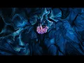 Chris Avantgarde , Anyma  -  Eternity  (Extended Mix)  [ Afterlife Record ]