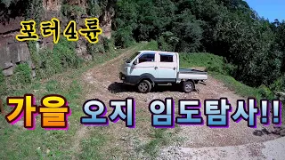 산골오지 가을맞이 임도여행!! Exploration of the Mountain Divergence!! 썸네일