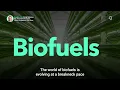Download Lagu How Is Global Production of Biofuels Accelerating?