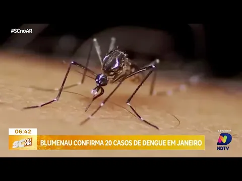 20 ocorrências de dengue em Blumenau: cinco registros em um raio inferior a 200 metros