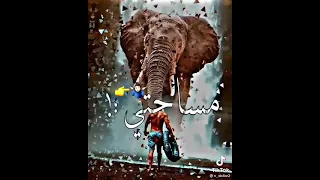 الساحه ساحتي ترند جديد مهرجانات 2021 حالات واتس 