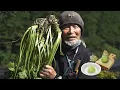 Download Lagu How Japanese Farmers Grow and Harvest Wasabi | Why Real Wasabi Is So Expensive