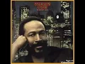Download Lagu Marvin Gaye - Sexual Healing (Extended Version)