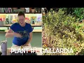 🚫 5 PLANTS I Won’t Grow Again (and WHY!) 🌱
