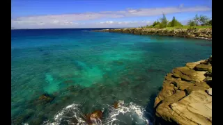 celine dion labandon