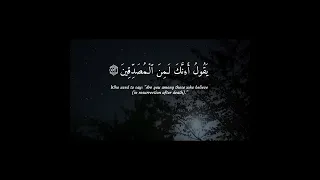 سورة الصافات ٥٠ ــ ٥٧ القرآن الكريم Quran ماهر المعيقلي انشر تؤجر 