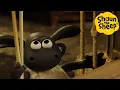 Download Lagu Shaun the Sheep 🐑 Timmy \u0026 Puppets - Cartoons for Kids 🐑 Full Episodes Compilation [1 hour]