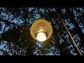 Download Lagu Nadhif Basmalah - Bergema untuk selamanya ( MV Cover )