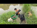 Download Lagu Highland boy khai fish trap, baskets full of fish, fishing skills to harvest and sell