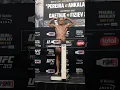 Download Lagu Alex ‘POATAN’ Pereira made weight for his fight against Magomed Ankalaev. #UFC313 #UFC #UFCIndia