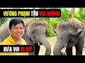 Download Lagu Vương Phạm Bất Ngờ Tậu Voi Khủng Ở Thái Lan Mang Về Mỹ Nuôi!