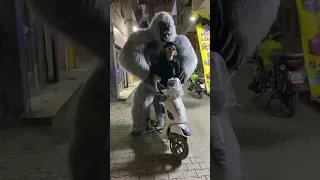 رجعنا نكسر الاوداع تاني Explore اكسبلور ترند الغوريلا مهرجانات مهرجان رقص Music 