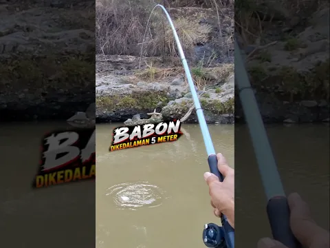 Straik Babon Bikin deg degan #mancing #shorts #viral