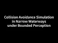 Comparative Simulation of USV Collision Avoidance in Narrow Waterways under Bounded Perception