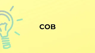 What is the meaning of the word COB
