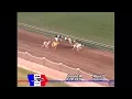 Screamin Eagle Rozwell 1st Place Finishes - Greyhound Racing Iowa