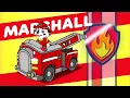 Paw Patrol Skye's 🔴BIRTHDAY🔴 Animation for Kids!