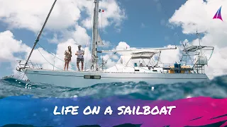 Sharks everywhere! (Hundreds) (living on a SAILBOAT)  – Unforgettable Sailing – Ep. 133