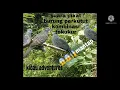 Download Lagu suara pikat burung perkutut kombinasi tekukur #perkutut #tekukur #suarapikat