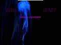 LightGBM Gradient Boosting by Microsoft