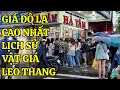 Download Lagu Hết Hồn GIÁ ĐÔ LA TĂNG CAO NHẤT LỊCH SỬ TIỀN VIỆT MẤT GIÁ VẬT GIÁ LEO THANG
