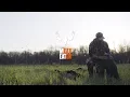 Turkey Hunting in Michigan with MeatEater s Mark Kenyon