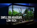 20 GALLON AQUASCAPE TUTORIAL Easy simple aquarium