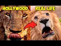 Download Lagu Suara Hewan Liar Hollywood Terungkap 🎬