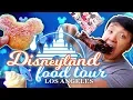 Download Disneyland FOOD REVIEW! Best & Worst Foods mp4 3gp mp3 videos - waplic