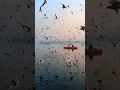 Lagu chadha de rang.....chadha de rang... ❤️❤️