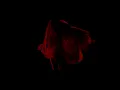 ZHU - Coming Home (feat. Majid Jordan) [Official Audio]