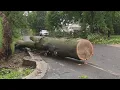 National Guard joins storm cleanup in northwest Indiana - WGN Midday News
