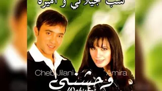 واحشني شب جيلاني أميرة Shab Jilani Amira Wahishni 