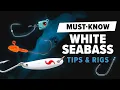 Lagu Before You Fish for White Seabass—Watch This! Must-Know Gear \u0026 Rigs