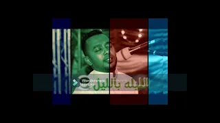 الليلة بالليل بدون موسيقي 