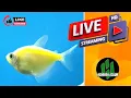 GEGER‼️ Tak Terima Ditumbangkan, Bang Zuma Dikeryok Ramai Ramai Di Dalam Ruang Debat! 🔥