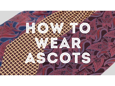 How To Wear Ascots & Cravats (And What's The Difference?)