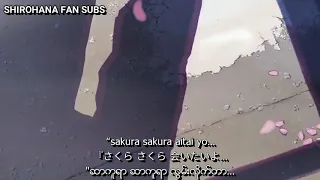 sakura anata ni deaete yokatta mm subs 