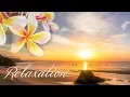 Download Lagu アロマ リラクゼーション音楽 ～スパ、瞑想・ヨガ、睡眠～南国風・トロピカル、波の音と鳥の声etc... 疲れが取れる癒しのヒーリングBGM