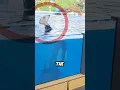Channel